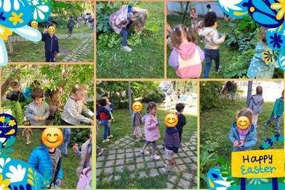 photo ms